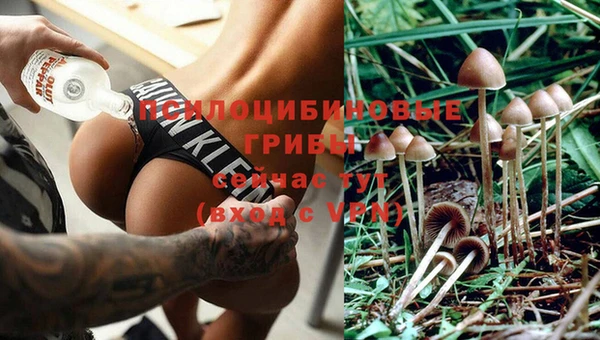 а пвп мука Абинск