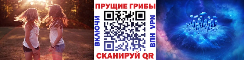 Галлюциногенные грибы Psilocybe  Альметьевск 