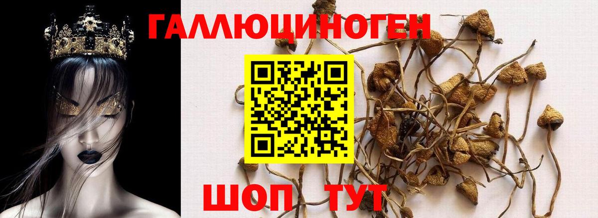 Галлюциногенные грибы GOLDEN TEACHER Альметьевск